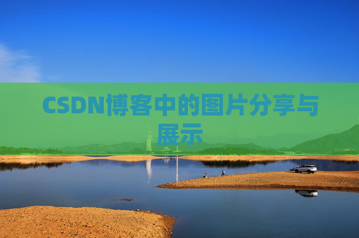 CSDN博客中的图片分享与展示